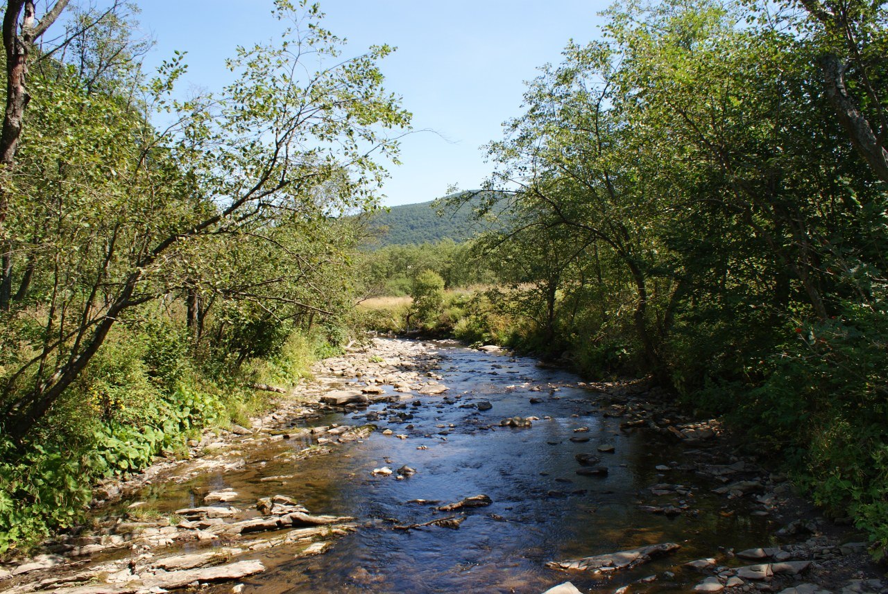 Ustrzyki Gorne